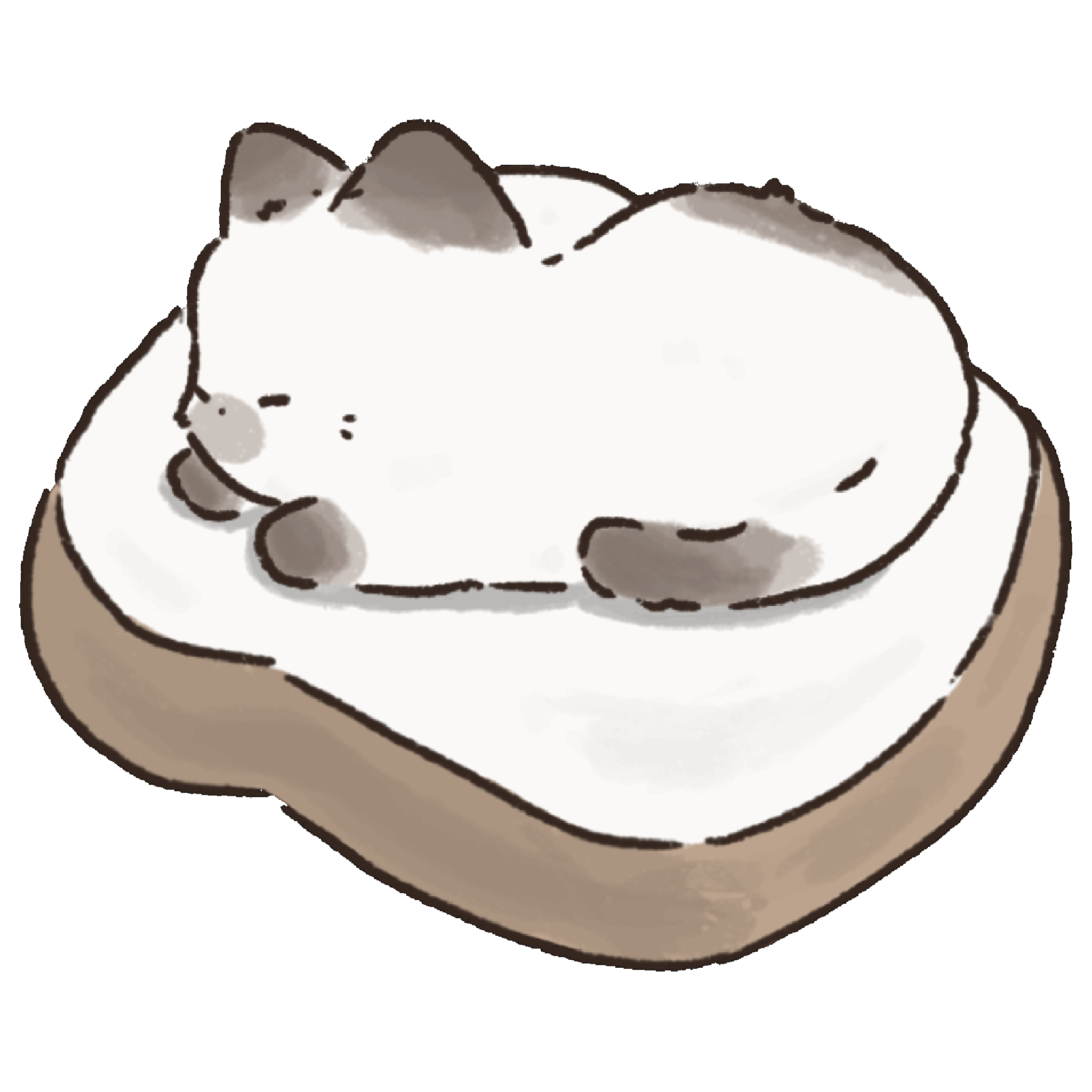 Cozyloafcat Website Cozyloafcat website